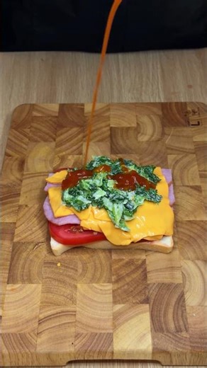 Howl's big sandwich🥪