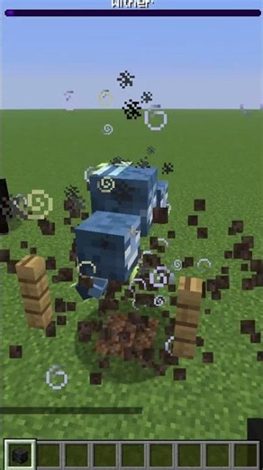 Wither Logic #minecraft