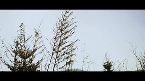 25K views · 266 reactions | [PREVIEW] BTS (방탄소년단) '2021 BTS WINTER PACKAGE' SPOT | BTS Worldwide | Facebook