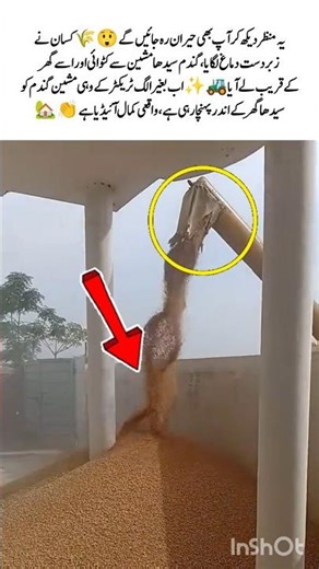 Farmer Uses Machine to Bring Wheat Straight Home 🌾🚜#Shorts #Farming #Innovation #SmartWork #Viral