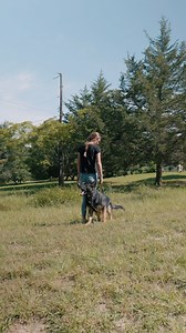 138K views · 3.6K reactions | Completing off leash training exercises...