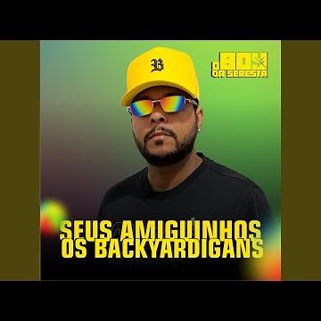 Seus Amiguinhos os Backyardigans