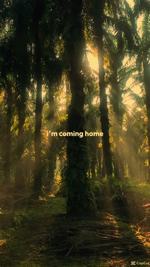 I'm coming home lyrics Vid #asthetic