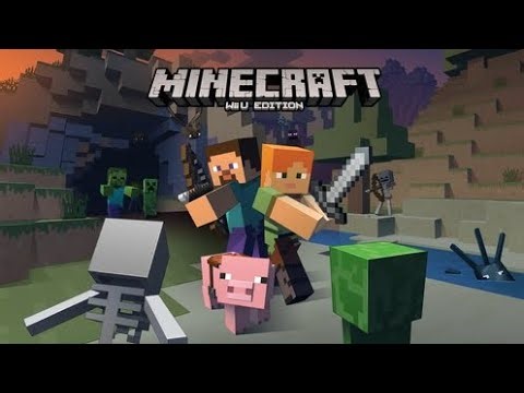 How to play Minecraft Wii u on pc