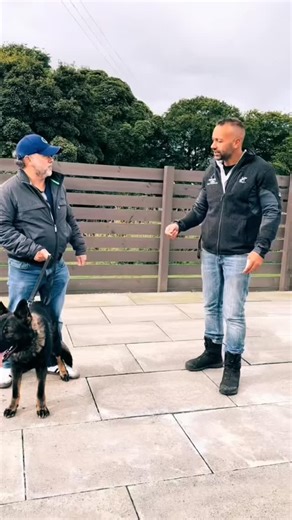 71 reactions | Family protection dogs available. #protectionk9scotland #protectiondogs #dogtrainer #guarddog | Protection k9 Scotland | Facebook