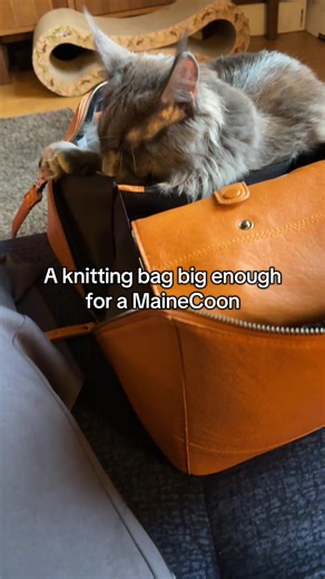 POV: you don’t knit small projects… you knit Maine Coon–sized projects 🧶🐈‍⬛ Because if your knitting bag can’t double as a cat bed, what’s the point? #KnittingLife #knittok #KnittingHumor #bigknittingbag #BigProjectEnergy