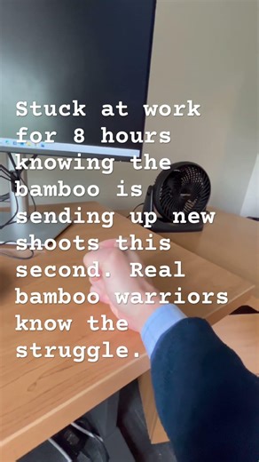 Real Bamboo Warriors Know the Struggle #bamboo #bambooremoval