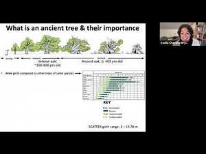 Webinar: The SCATTER project with Dr Cecilia Chavana-Bryant