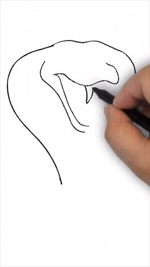 100K views · 1.1K reactions | How to draw a cobra #draw #drawing #howto #sketch #cobra | Mr. Imaginative | Facebook