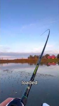 Fishing for BIG BASS with 7 inch glide bait