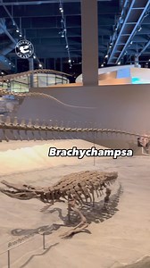 84K views · 2.8K reactions | Murderers’ Row - Late #Cretaceous...