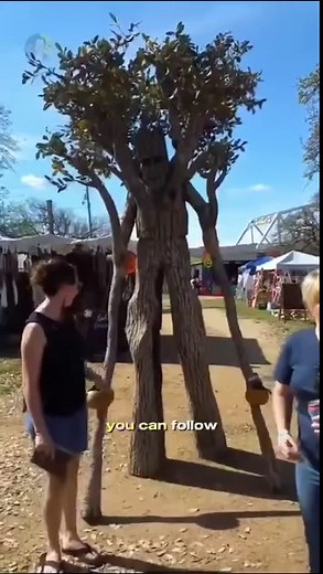 Exploring the enchanted forest where trees have taken a stroll through fantasy! ✨ Did you know? In this magical realm, trees prefer a leisurely walk to standing still. Nature's own walkers! ‍♂️ Video Credit: @intfactsworld #whimsicalwonders #factsyoudidntknow #funfacts #factsdaily #viralreels #explorepage✨ | JSB Wellness | Facebook