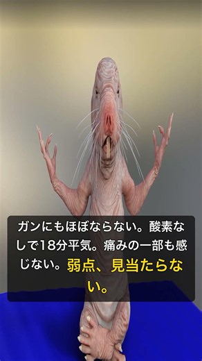 老化しないネズミ #shorts