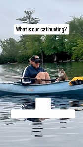 Comment BOATCAT for our guide to boating with your cat! #cat #adventurecat #catsofinstagram #catmom #mainecoon #kayak | Best Adventure Cat