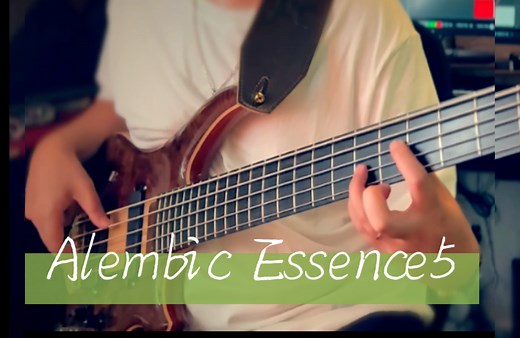 价格十六万人民币！Alembic Essence 5 custom bass