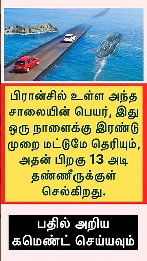Ias most brilliant 🤩 important questions and answer Tamil gk intrasting general knowledge question