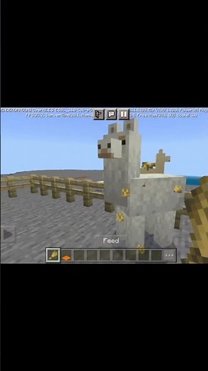 How to tame Lama in Mincraft 🦙🦙 #minecraft #lama #viral #shorts