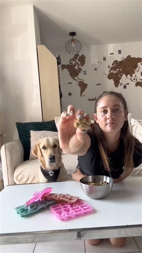 Recette pour chien 🐶