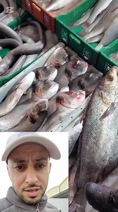 الخير موجود و لكن غالي بززااف 🔥🔥🔥🔥🔥 | Boutayeb Mohammed