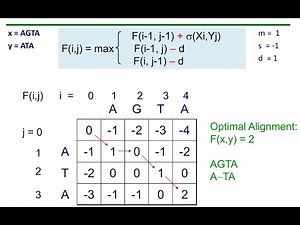 Bioinformatics - Alignment solved examples