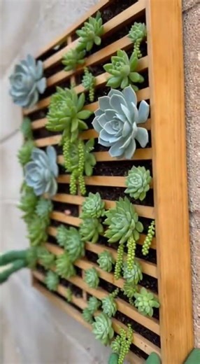 ✅ 10 EASY Ideas to Turn Your Patio into an AMAZING Garden 2026