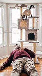 142K views · 1.2K reactions | Loving Cat Saves Owner's Life! #positivevibes #familyfriendly #suspense | Vu Bros | Facebook