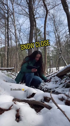 Mesmerizing Melting Snow Under a Microscope | Mrs Luke's Lab