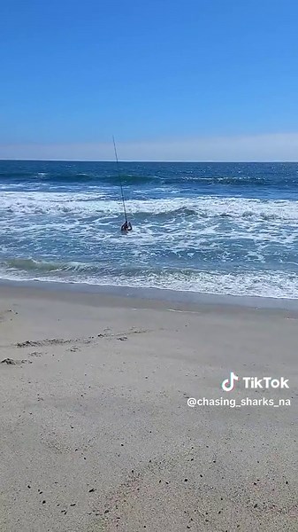 Wading Through Deep Waters After Casting Live Bait