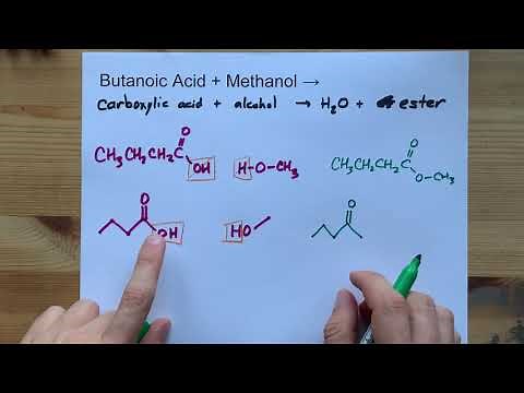 Butanoic Acid + Methanol = ESTER + water