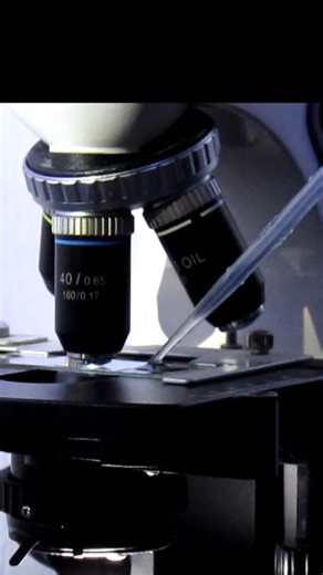 Bacteria vs Ethanol under the microscope.