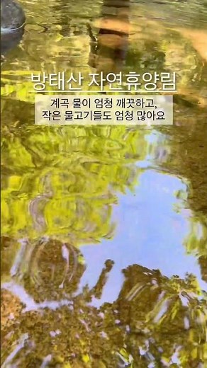 #방태산 #방태산자연휴양림 #강원도인제 #인제여행