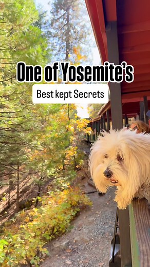 Scenic Dog-Friendly Train Ride Near Yosemite