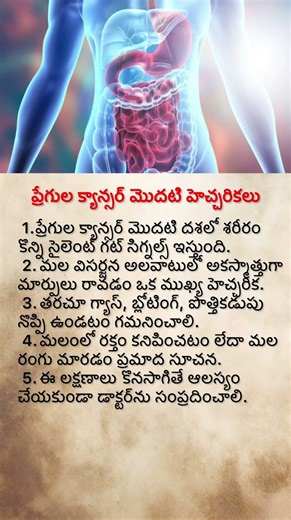 5 Early Signs of Colon Cancer You Should Never Ignore | Life-Saving Health Tips