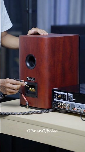 JBL Studio 630 & Denon PMA-600NE | Premium Hi-Fi Bookshelf Audio System Setup #usa #audio #hifi