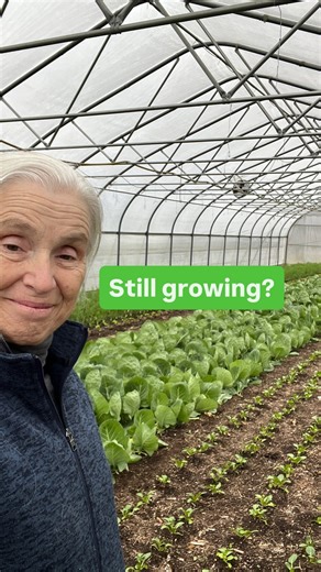 53 reactions | The power of passive solar heating! It’s always...