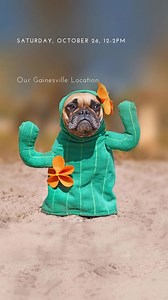 Merrifield Garden Center on Reels