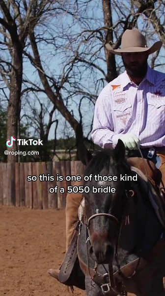 Improve Rope Horse Training with this Bridle for Smooth Stops