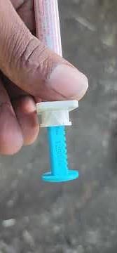 Ivermectin Dose for Dogs