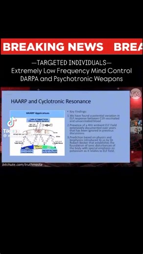Dr. Anna Mihalcea Targeted Individuals Extremely Low Frequency ( ELF) Mind Control DARPA & Pychotronic Weapons * Discernment as always Dr. Ana sells products from The Wellness Company that aids in Biodigital Convergence. | Estabrooks Chris