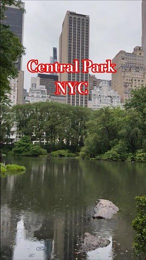 Magical Rainy Day in Central Park, New York 🌧️ | Cinematic Walking Tour💧 #newyorkcity