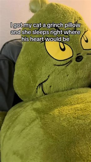 Ella, Jovie, and Emily on Instagram: "she loved her grinch pillow so much 💚 🎥 • • • • • #catwatchingtv #catsofinstagram #catlife #catstagram #catlovers #petstagram #petsofinstagram #catlove #catoftheday #catsofig #instacat #cutecat #adopt"