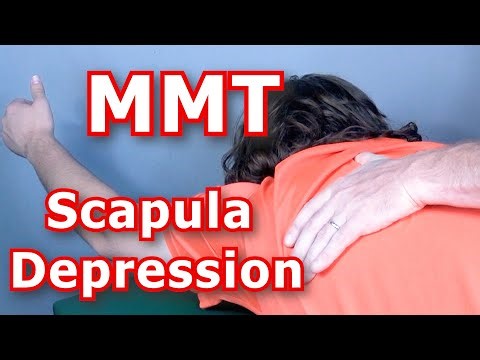 Manual Muscle Testing (MMT) - Scapula Depression