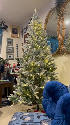 Noah put the Christmas Tree up today. Now to fluff out the branches & decorate. Love it already, actually feel a little excited  Packed up FALL DECOs , left out few THANKSGIVING decos in the Kitchen & Dining area. LOTS to do to this New Home of Mine, but I do love it & sooo THANKFUL GOD made the way to move me here ‘WHERE I BELONG’ & I always Pray that every room be where HE is always welcome any time day or night . | Phyllis Jeanette Turner Lutterloh | Facebook