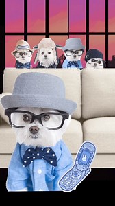 #monday #dogsofinstagram #MondayMotivation #dogslife #dogs #dogsofttiktok | Diamond Bar Kennel