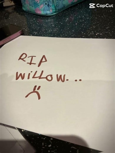RIP willow 💔...
