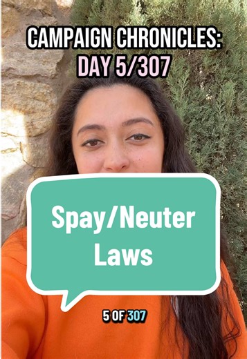 First we have to start with access and then we push for stronger laws. I’m realizing that a city council run isn’t necessarily all about law making, it’s also about making sure our community has access to the programs necessary to make compliance as easy as possible #politics #citycouncil #campaignchronicles #campaign2026 #policy