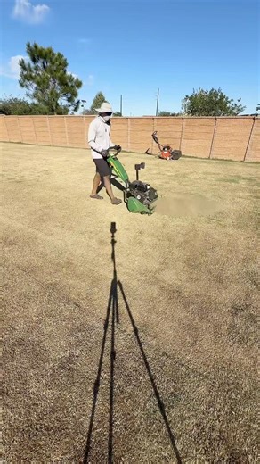 Scalping down the back yard.