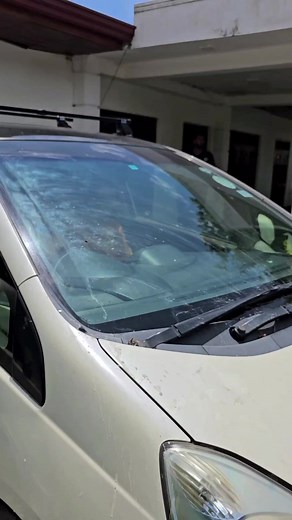 Gabriel Auto Windshield on TikTok