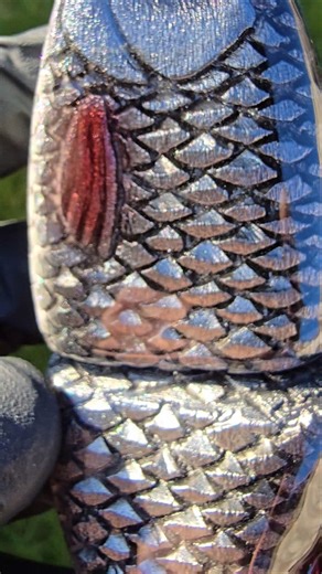 #handmade #fishing #lure #lurefishing #alien_predator_lures