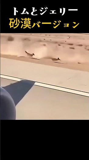 トムとジェリーの実写版？